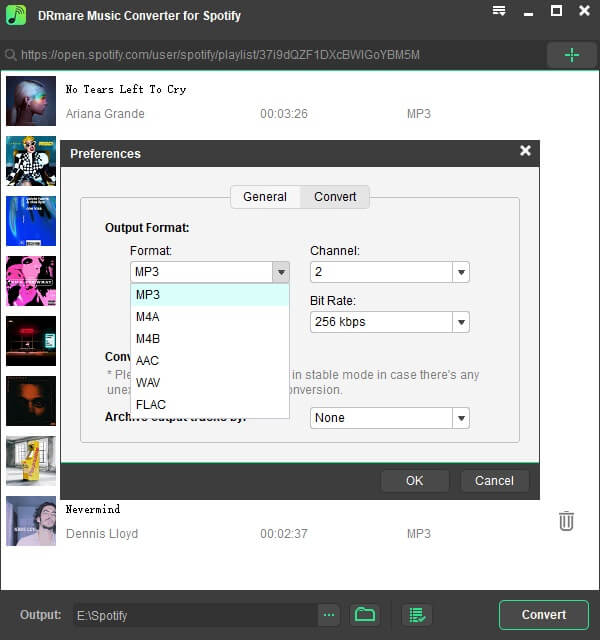 Select The File Output Preferences to download from Spotify