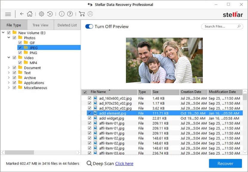 Stellar Professional Data Recovery Scanning Results