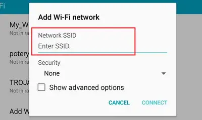 give the network a name in the ssid field