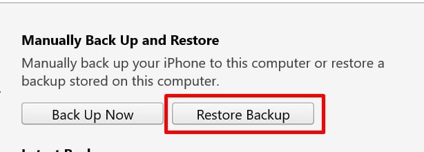 click restore backup in itunes