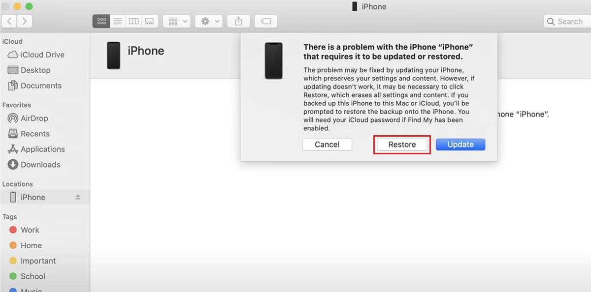 iTunes recovery mode iPhone prompt