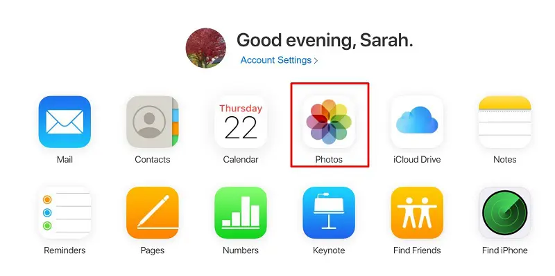 Select the category you want to download from iCloud
