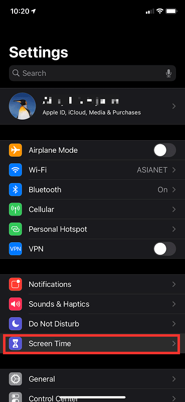 Choose Screen Time on iPhone settings