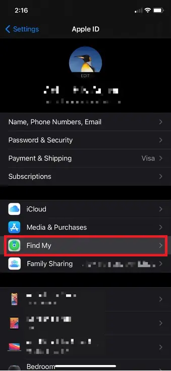 Choose Find My on iPhone settings
