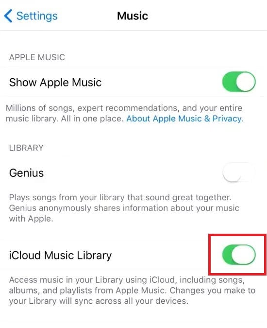 Turn on iCloud music library on iPhone