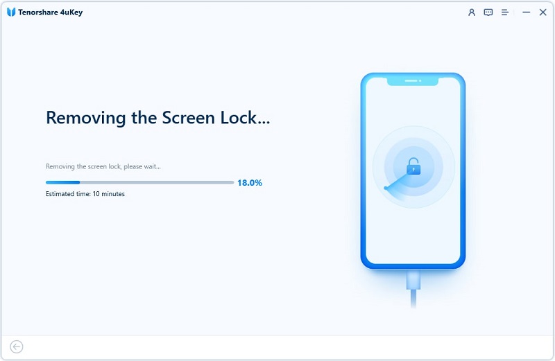 iPhone Unlocker - Removing the screen lock