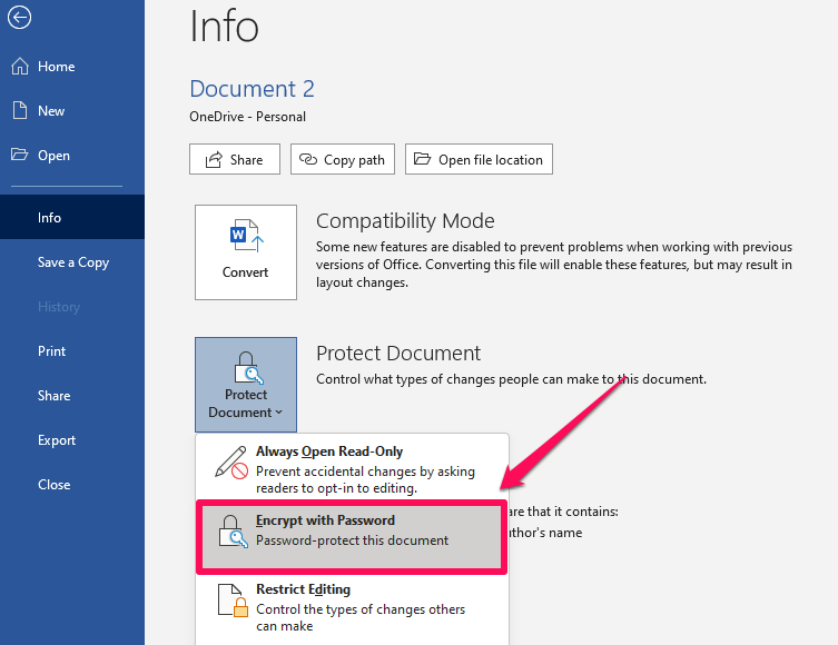 Choose encrypt with password in word document