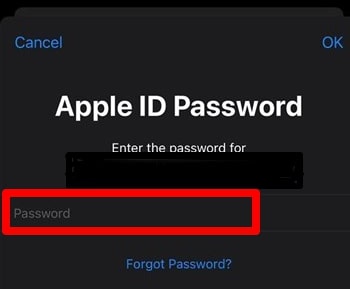 Enter the apple id password to reset notes password