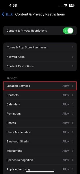 select the location services option on iPhone