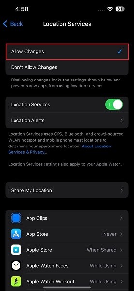 enable allow changes option on iPhone