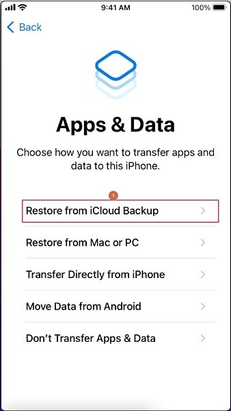 Choose the Restore from iCloud Backup Option on iPhone