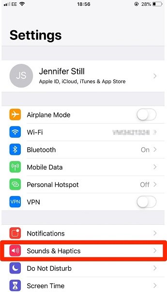 Sounds & Haptics option under the General Settings on iPhone
