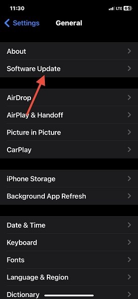 iPhone settings general software update