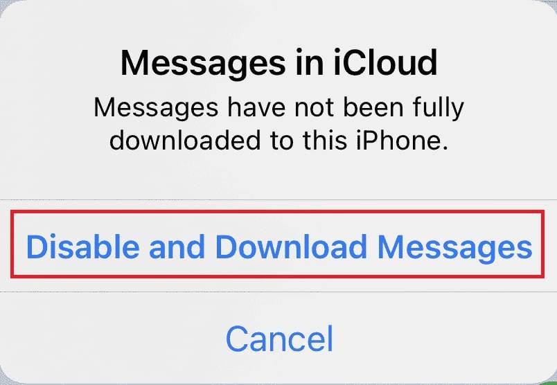 Disable and Download Messages in iCloud