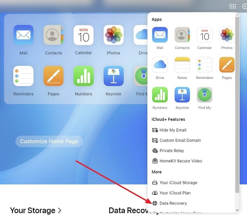 select data recovery from iCloud website