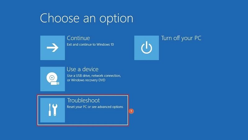 Click Troubleshoot on the Choose an option window
