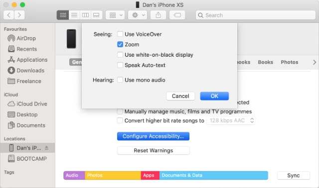 Configure zoom accessibility on iTunes