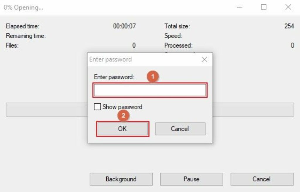 enter password to open zip file